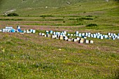 Bee hives in grassland,Turkey