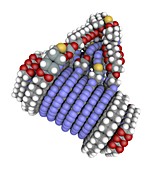 Fine-Motion molecular controller