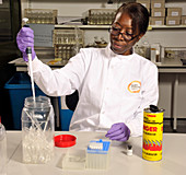 Safe disposal of laboratory waste