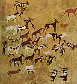 Rock paintings from the Libyan desert