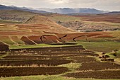 Terraced fields,Lesotho