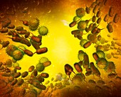 Bacteria,illustration