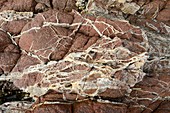 Quartz veins in rhyolite rock