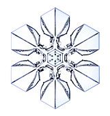 Snowflake,light micrograph