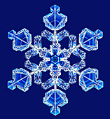 Snowflake,light micrograph