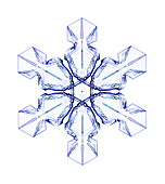 Snowflake,light micrograph