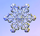 Snowflake,light micrograph