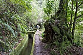 Irrigation channel and tunnel