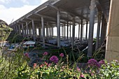 Funchal airport runway on columns