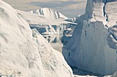 Tourist boat trips sail through Icebergs