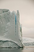 Icebergs from the Jakobshavn glacier