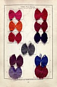 Dyed cotton yarn samples,1902