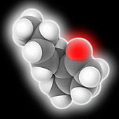 Jasmone molecule