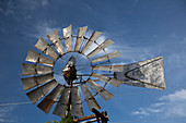 Plantation windmill