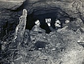 Coal miners with a canary