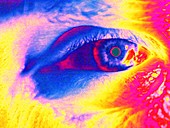 Human eye,coloured image
