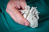 Child's heart,3D printed model