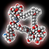 Palytoxin poison molecule