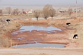 Drought,China