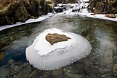 Ice on Greenburn Beck