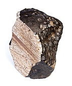 Wold Cottage meteorite