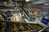 Potato processing plant,Idaho,USA