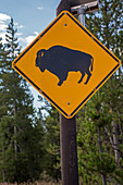 Bison sign,Yellowstone,USA