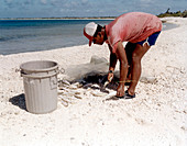 Nuclear fallout survey,Bikini Atoll