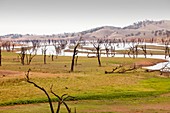Lake Hume in drought,Australia