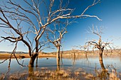 Lake Eildon in drought,Australia