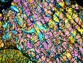 Meteorite JaH 055 L4-5,light micrograph