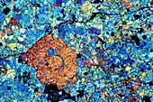 Meteorite DHO 020,light micrograph