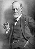 Sigmund Freud,Austrian neurologist