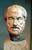 Aristotle,Ancient Greek philosopher
