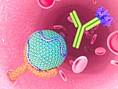 PCSK9 inhibitor and high cholesterol