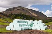 Bags of silage on a farm