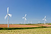 A wind farm on agricultural land