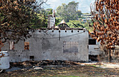 Fire-damaged building and trees