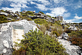 Smuts Track hiking trail,South Africa