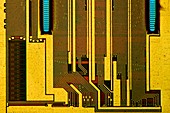 Computer RAM module,light micrograph