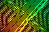 Computer RAM module,light micrograph