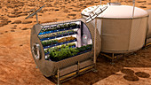 Plant growth chamber on Mars