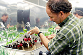 Kennedy Space Center plant growth chamber