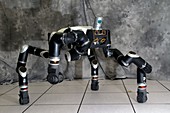 RoboSimian robot