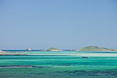 Tresco,Scilly Isles,UK