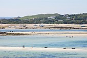 Tresco,Scilly Isles,UK