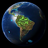 Carbon corridors in the Amazon