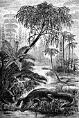 Triassic world,19th C illustration