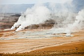 Fumaroles emitting steam