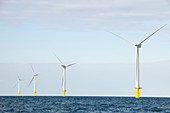 Walney Offshore Windfarm,UK